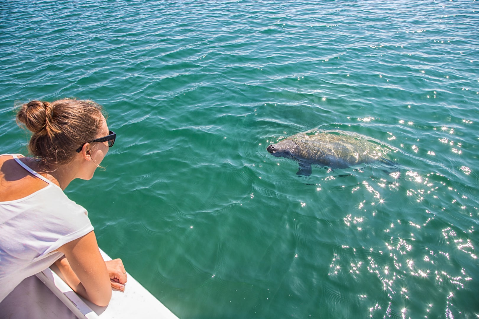 A guest looking at a manatee floating in the river during the Monkey River Wildlife & Village Tour at The Lodge at Jaguar Reef